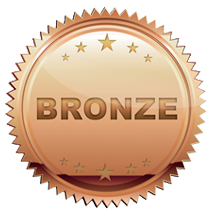 Bronze Sponsorship